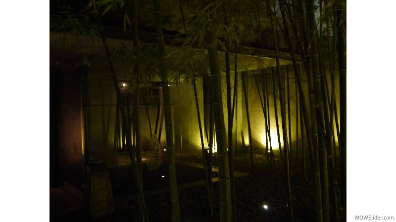 Das Bambuswäldchen